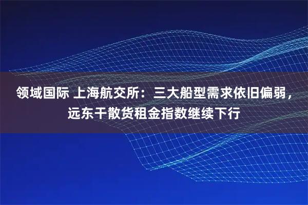 领域国际 上海航交所：三大船型需求依旧偏弱，远东干散货租金指数继续下行