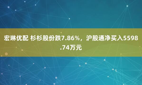 宏琳优配 杉杉股份跌7.86%，沪股通净买入5598.74万元
