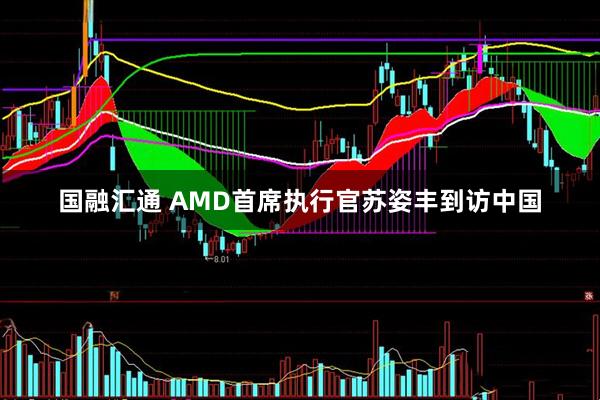 国融汇通 AMD首席执行官苏姿丰到访中国