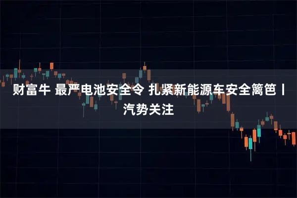 财富牛 最严电池安全令 扎紧新能源车安全篱笆丨汽势关注