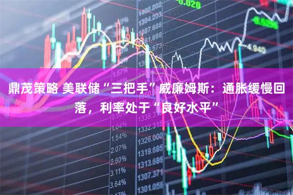鼎茂策略 美联储“三把手”威廉姆斯：通胀缓慢回落，利率处于“良好水平”